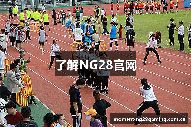 了解NG28官网